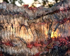 resilience sunset