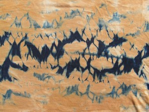 indigo bats _3900
