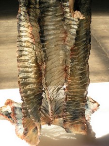 REsilience - shibori 3m silk organza stitched 